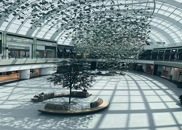 Ambience Mall
